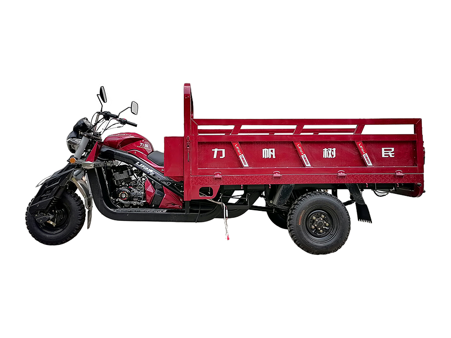 LF250ZH-6野戰002三輪摩托車