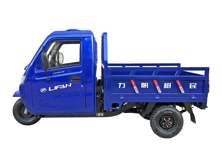 LF250-3D型(躍威)正三輪摩托車