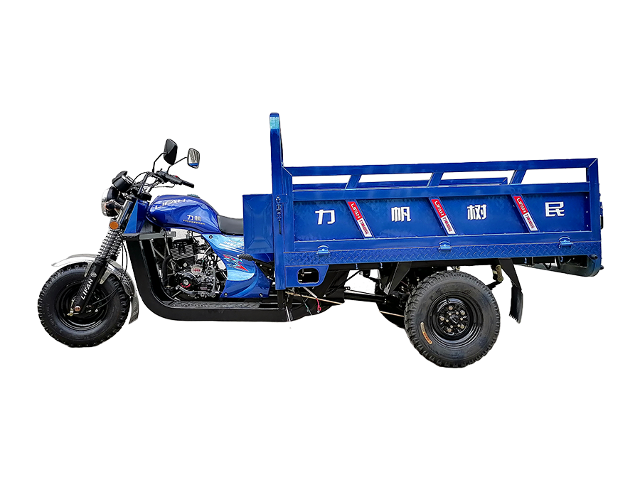 LF175ZH-8福滿666加配三輪摩托車